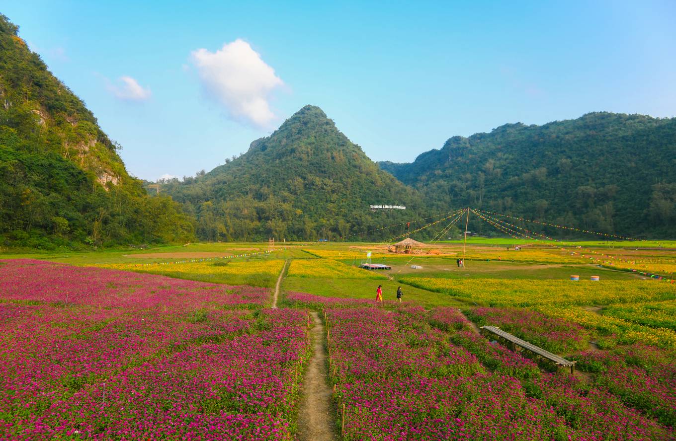 Bên[-]trong[-]thung[-]lũng[-]hoa[-]lớn[-]nhất[-]Việt[-]Nam